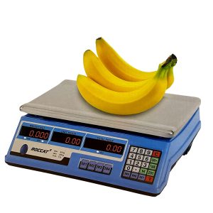 40Kg Scale photo 1